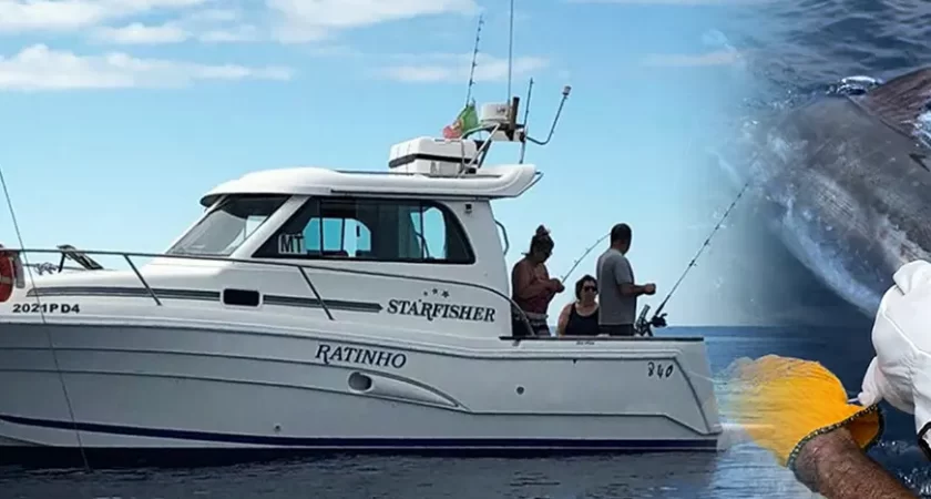 Fishing Tours & Ocean Experiences in the Azores
